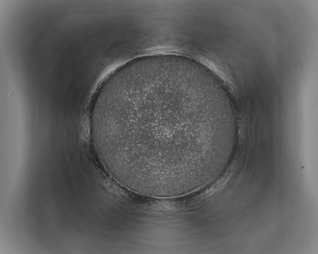 X0000112381358200908271310