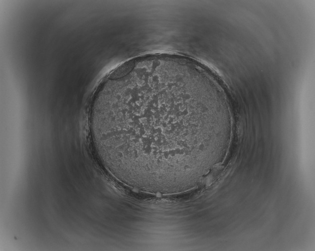 X0000112381359200908271310