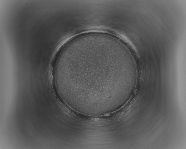 X0000112381360200908271310