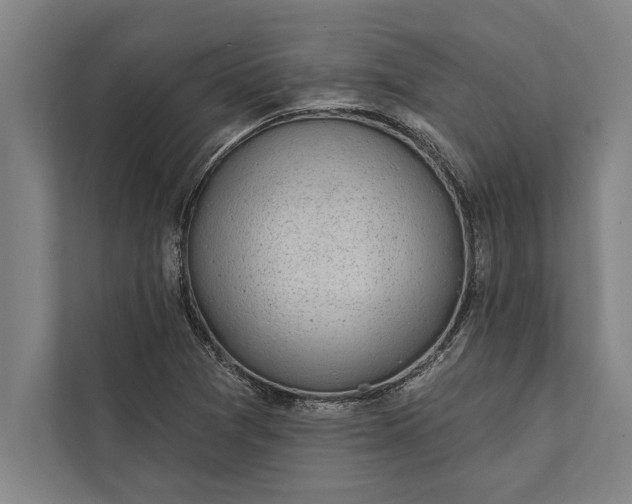 X0000112381361200908271310