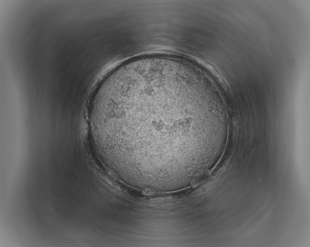 X0000112381363200908271310