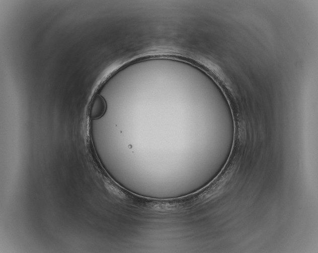 X0000112381366200908271310