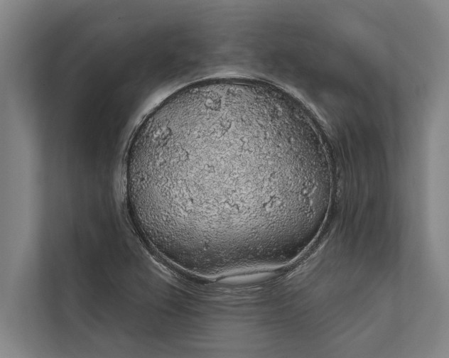 X0000112381367200908271310