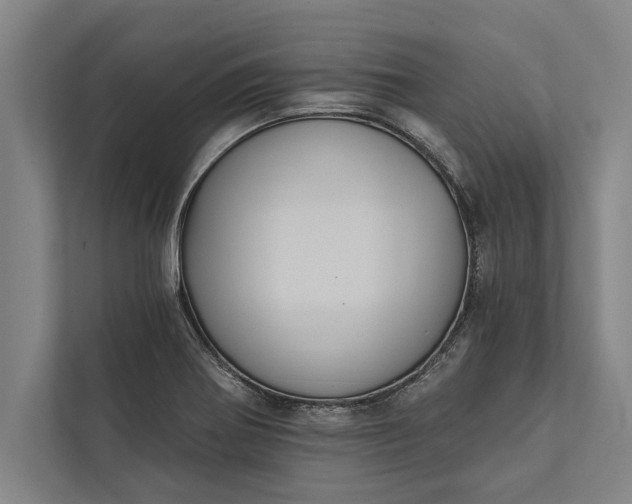 X0000112381370200908271310