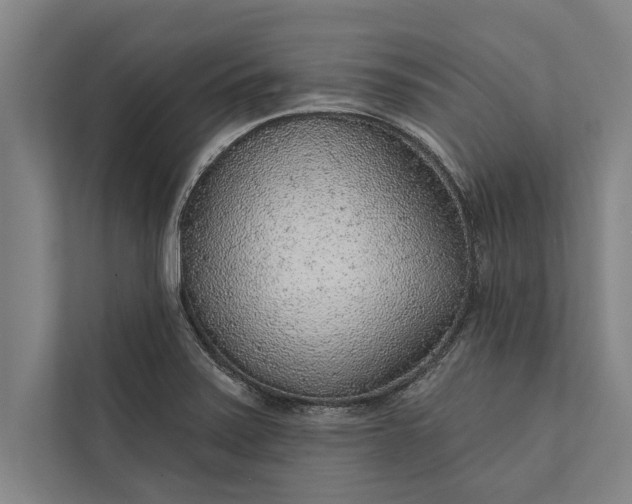 X0000112381371200908271310