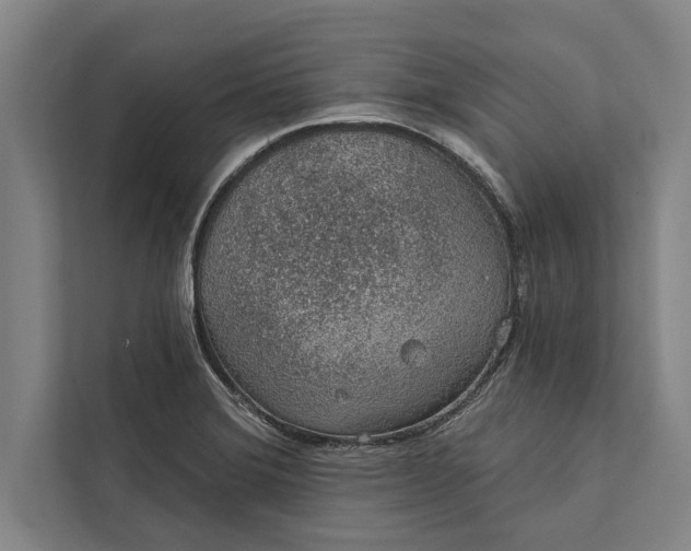 X0000112381372200908271310