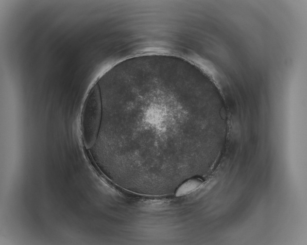 X0000112381373200908271310