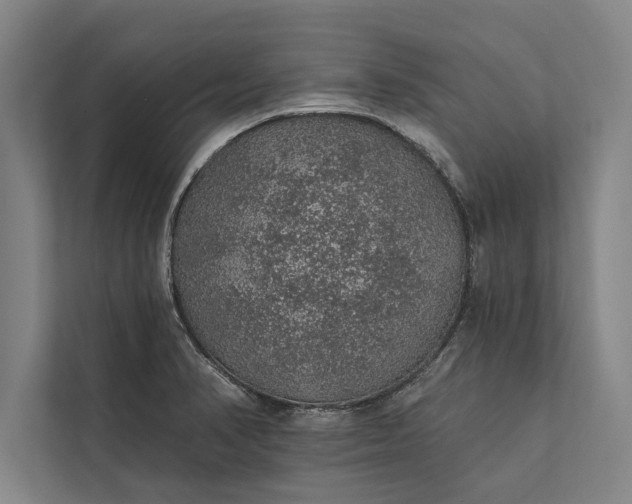 X0000112381374200908271310