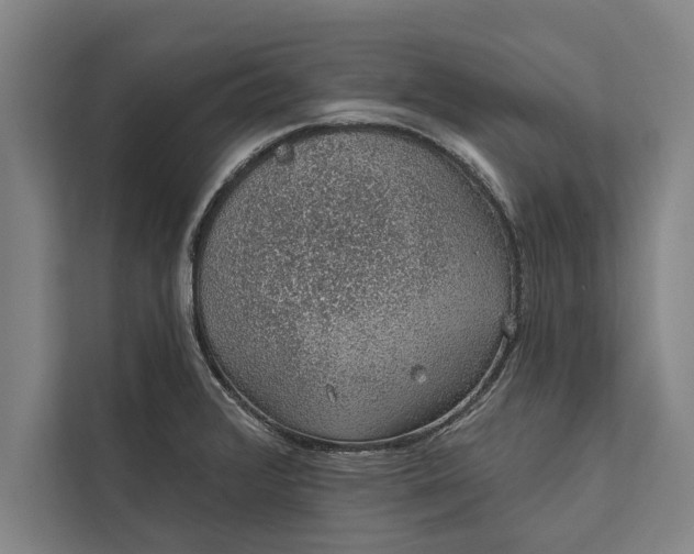 X0000112381376200908271310