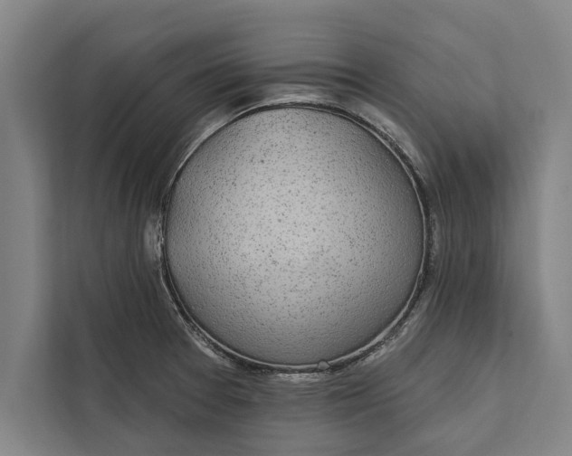 X0000112381377200908271310