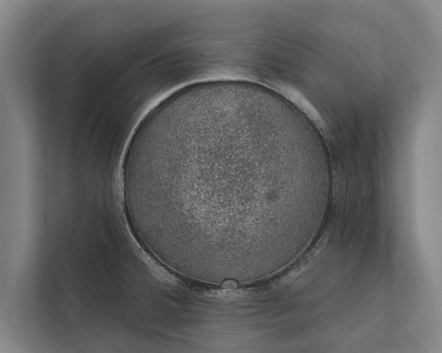 X0000112381380200908271310