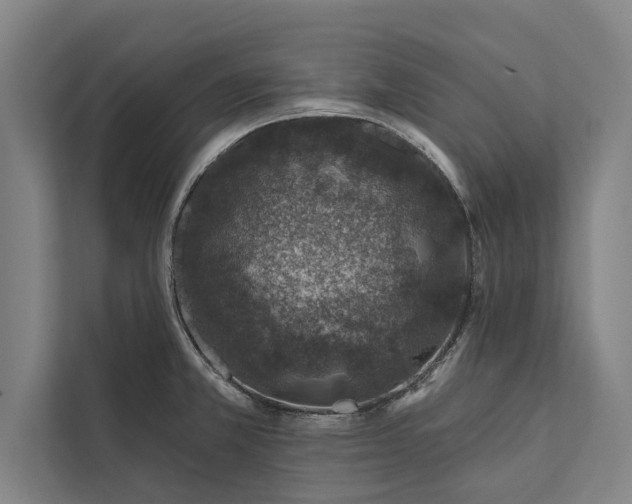 X0000112381381200908271310