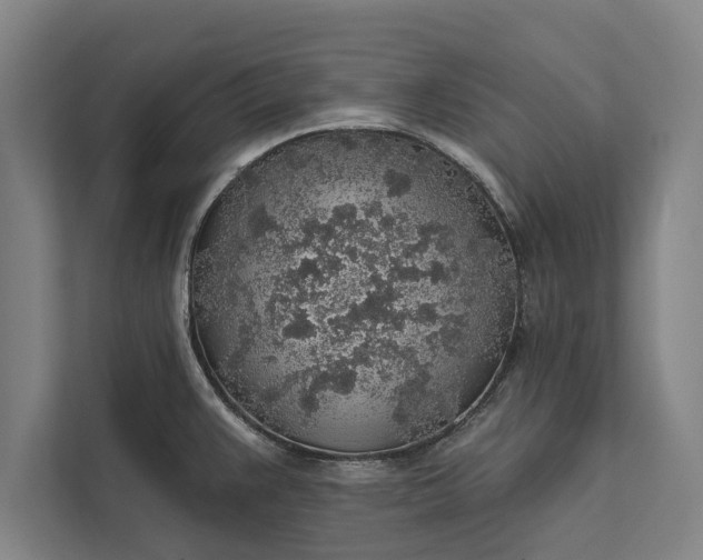 X0000112381383200908271310