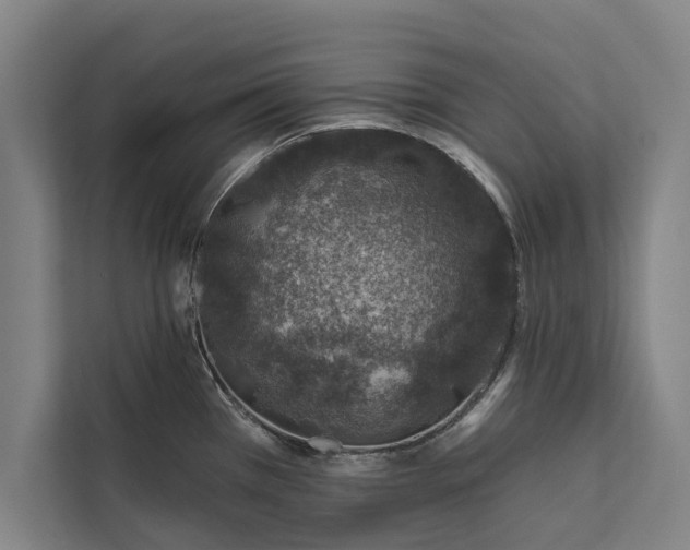 X0000112381385200908271310