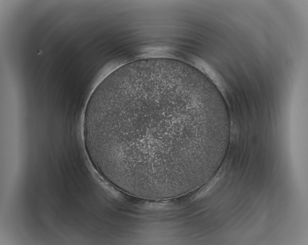 X0000112381386200908271310