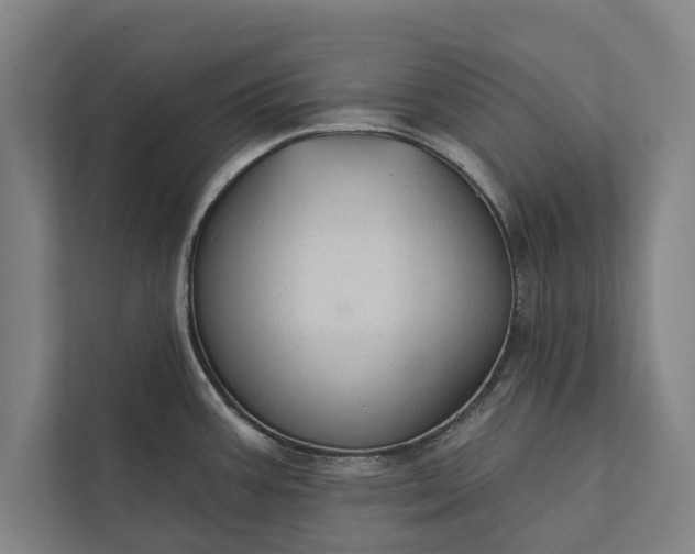 X0000112381387200908271310