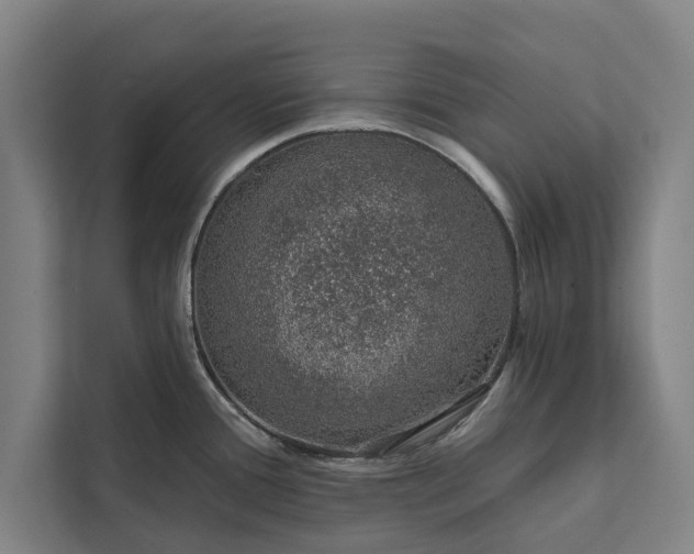 X0000112381388200908271310