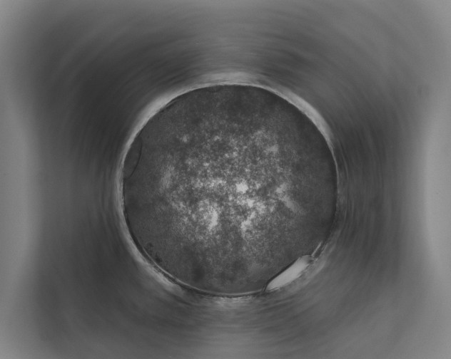 X0000112381389200908271310