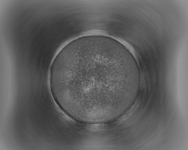 X0000112381390200908271310