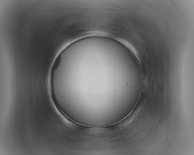 X0000112381391200908271310