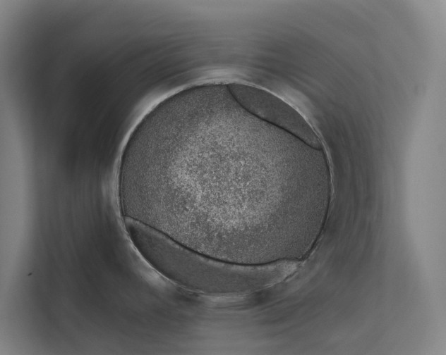 X0000112381392200908271310