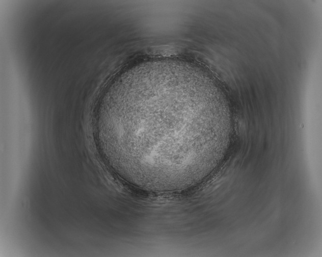 X0000112381393200908271309