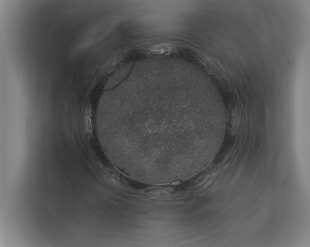 X0000112381394200908271309