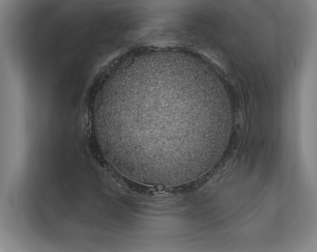 X0000112381398200908271309