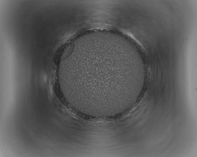 X0000112381399200908271309