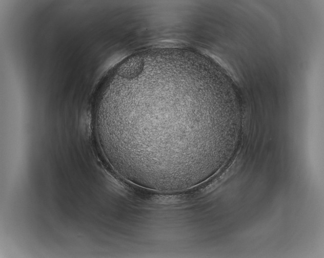 X0000112381402200908271309