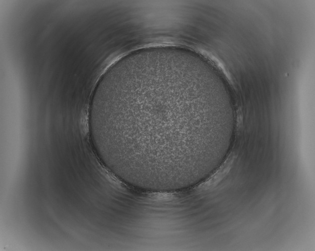 X0000112381409200908271310