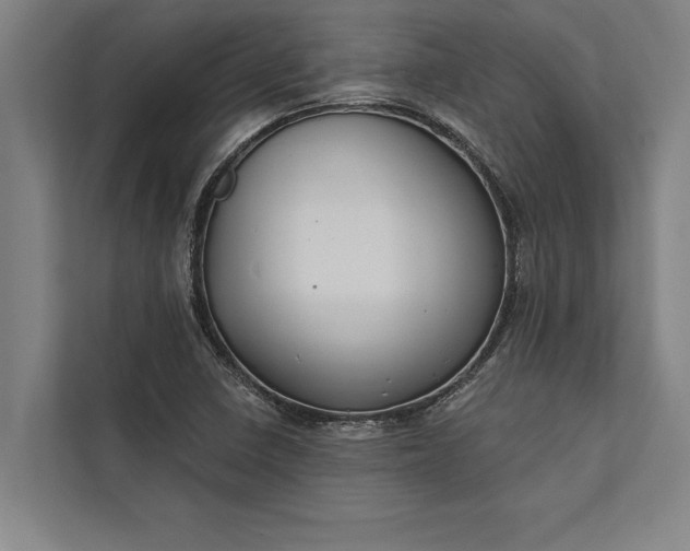 X0000112381410200908271310