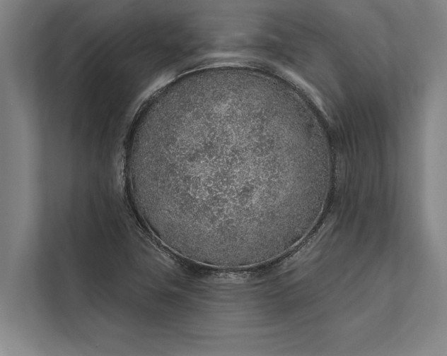 X0000112381411200908271310