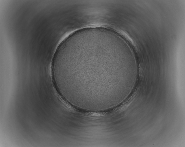 X0000112381412200908271310