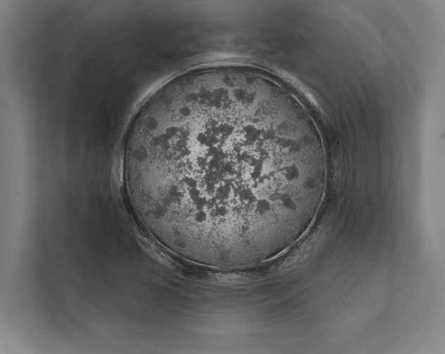 X0000112381413200908271310