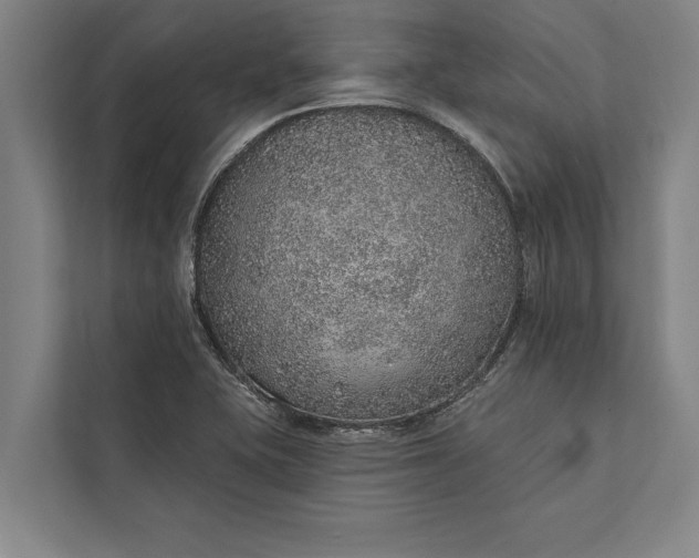 X0000112381415200908271310