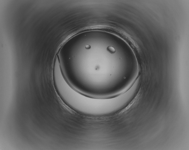 X0000112381417200908271310