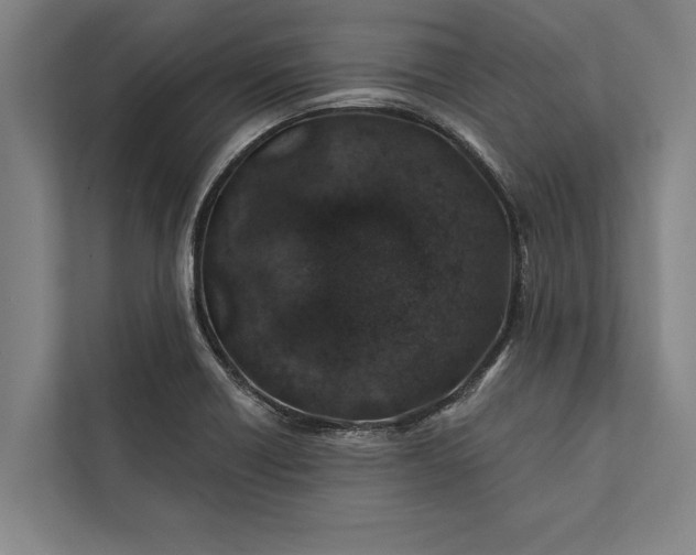 X0000112381418200908271310