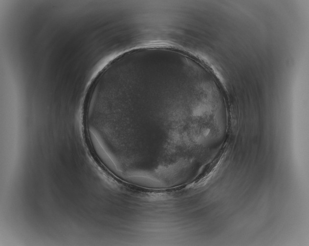 X0000112381422200908271310