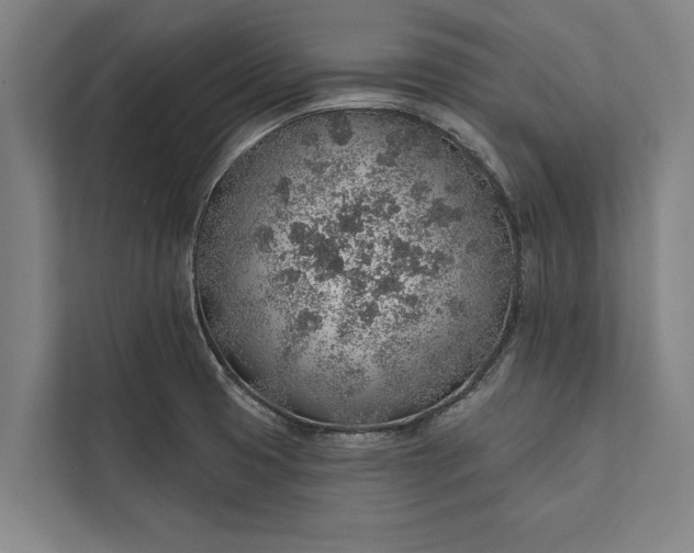 X0000112381425200908271310