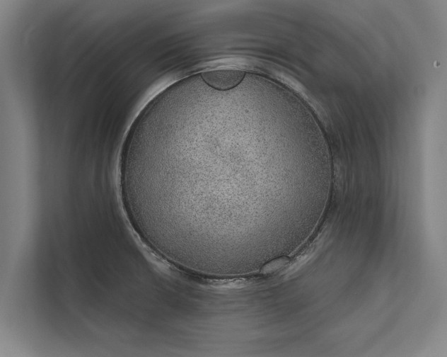 X0000112381426200908271310