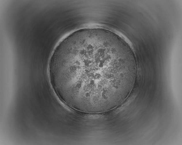 X0000112381429200908271310