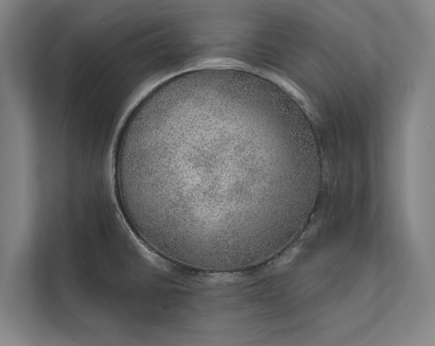 X0000112381430200908271310