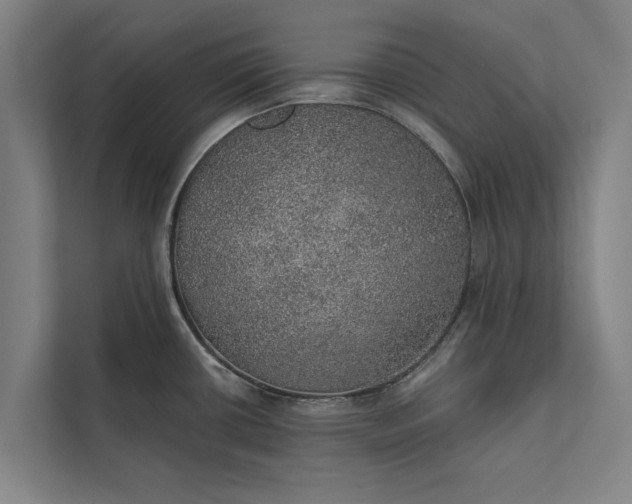 X0000112381434200908271310