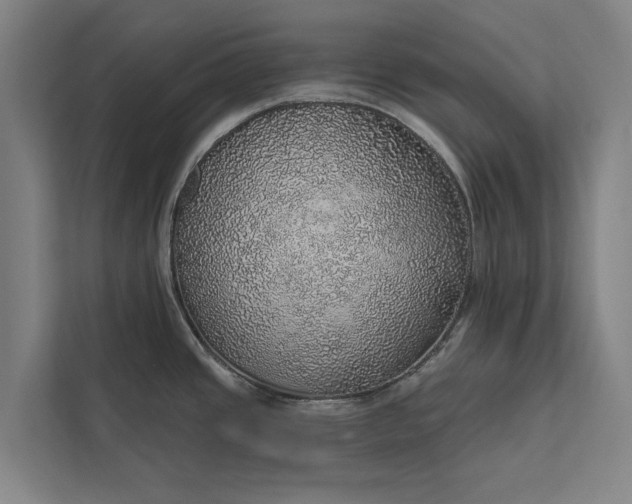 X0000112381437200908271310