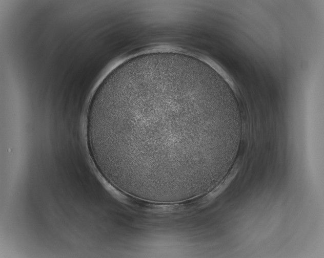 X0000112381438200908271310