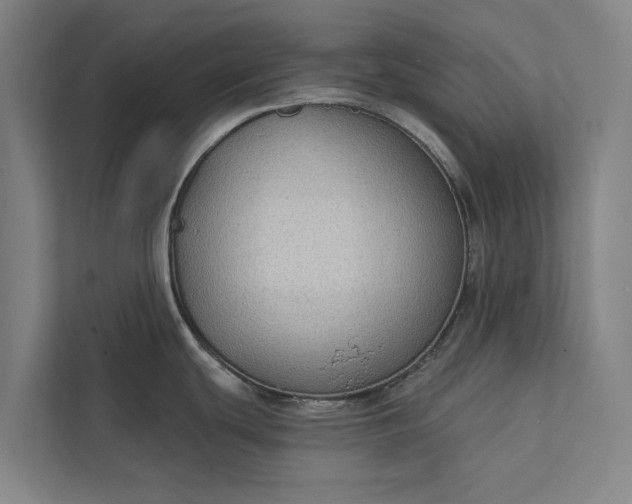 X0000112381439200908271310