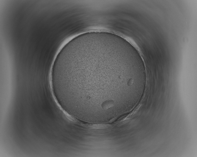 X0000112381440200908271310