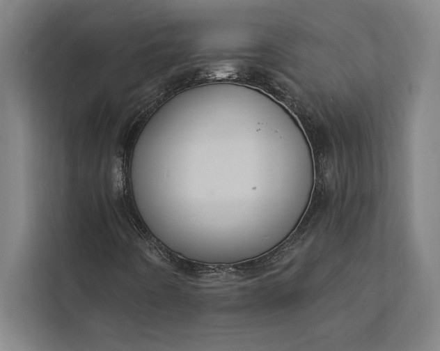 X0000112381442200908271309