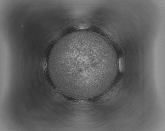 X0000112381443200908271309